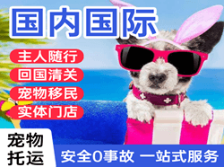 昌北航空空运国际宠物托运 【国